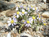 DSCN0788