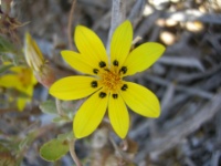 DSCN0791