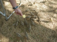 DSCN0819