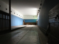 DSCN0897