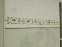 DSCN0911