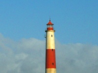 DSCN0992