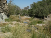 DSCN1795