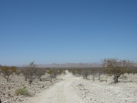 DSCN1817