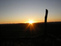 DSCN1881