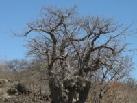 DSCN1895