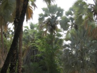 DSCN1901