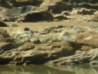 DSCN1983