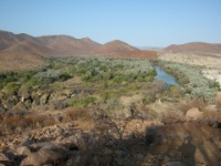 DSCN1994