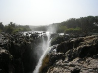 DSCN2001