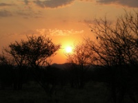 DSCN2064