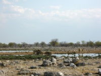 DSCN2150