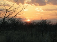 DSCN2245