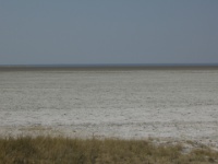 DSCN2398