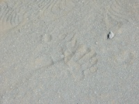 DSCN0646