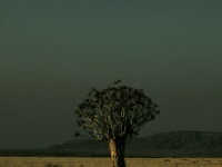 DSCN0673
