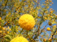 DSCN0697