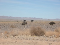 DSCN0721