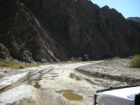 DSCN0737