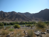DSCN0744