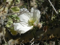 DSCN0760