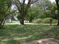 Grootfontein