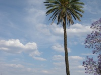 DSCN2412