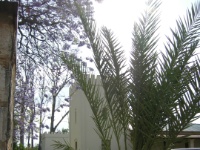 DSCN2413