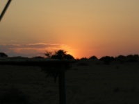 Kalahari