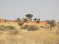DSCN0599