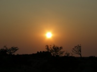 DSCN0630