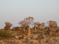 DSCN0631