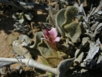 DSCN1449