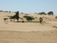 DSCN1543