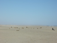 DSCN1556