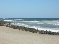 DSCN1562