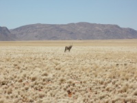 DSCN1035