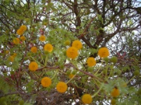 DSCN1071