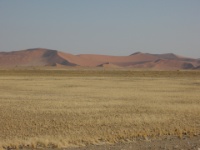 DSCN1091