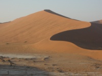 DSCN1221