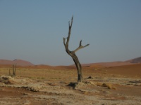 DSCN1231