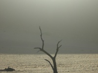 DSCN1236