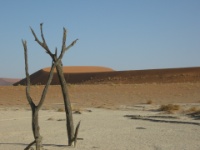 DSCN1250