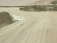 DSCN1304