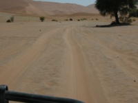 DSCN1307