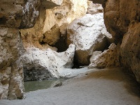 DSCN1318