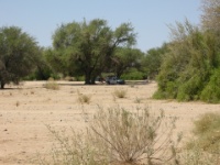DSCN1626