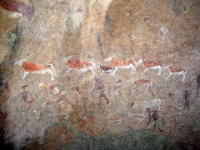 DSCN1638