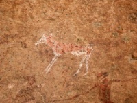 DSCN1640