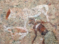 DSCN1644